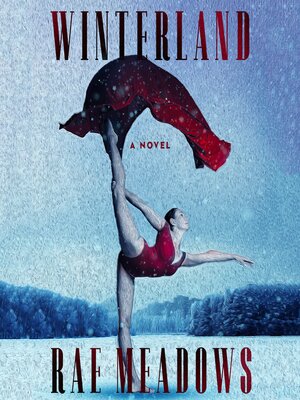 cover image of Winterland
